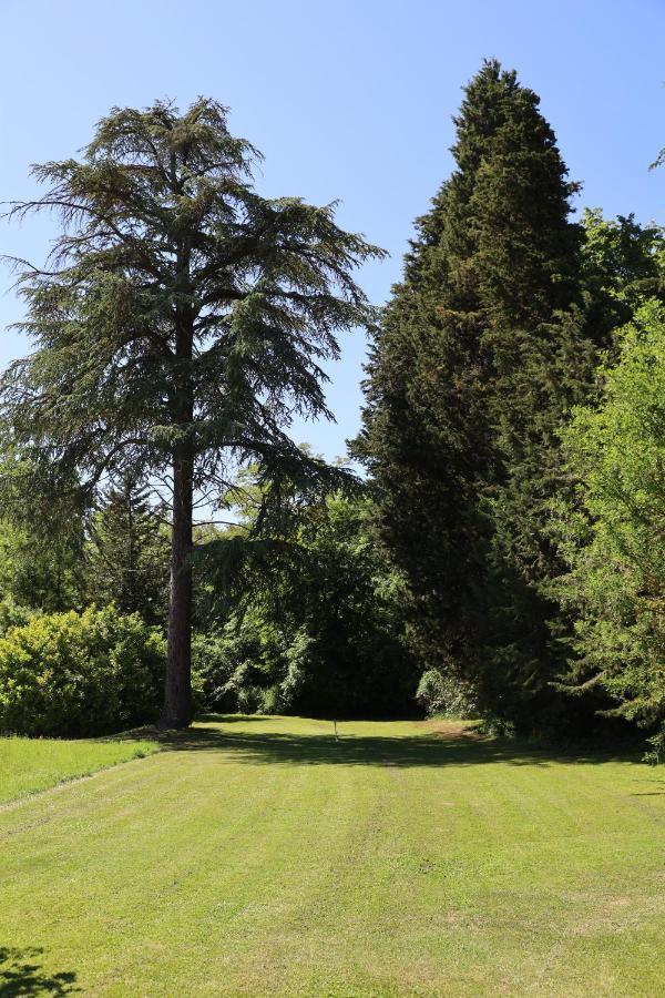 Domaine De Pouroutounat Mirepoix  Buitenkant foto